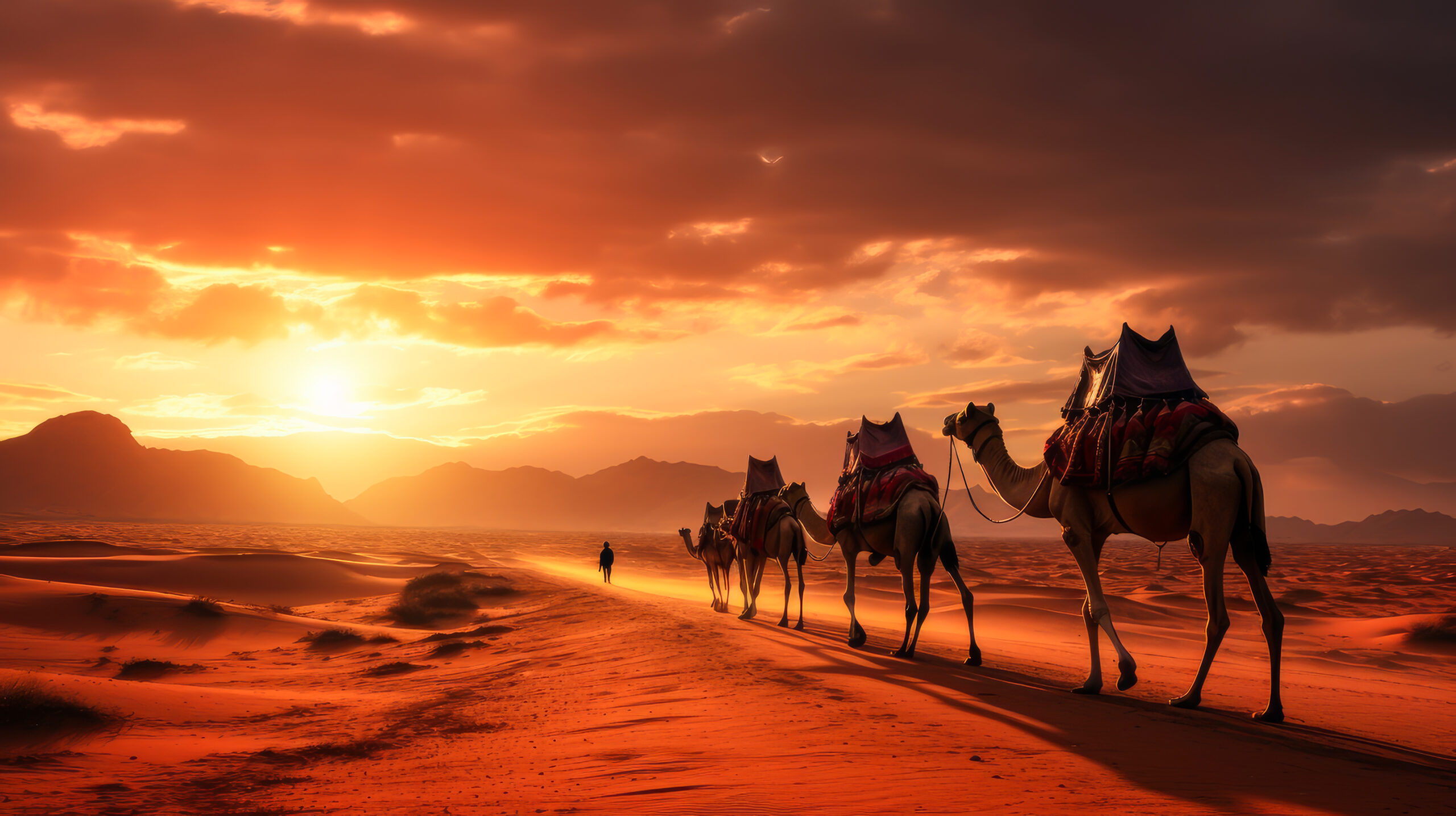 Désert du Sahara