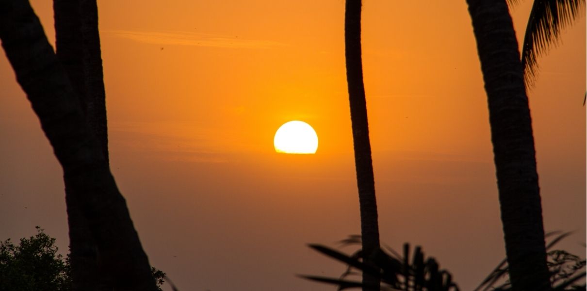 Bénin Paysage