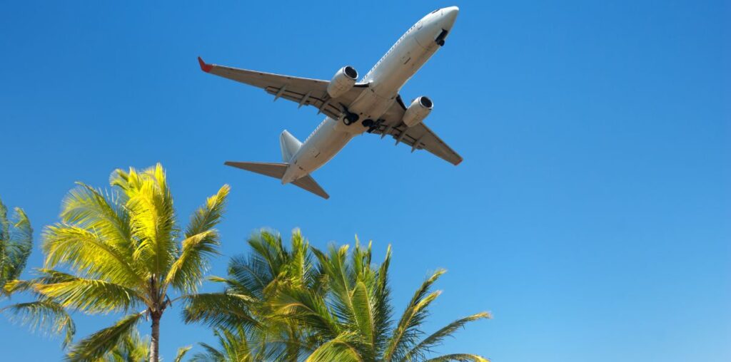 Carbon efficiency: the best-performing airlines in 2026