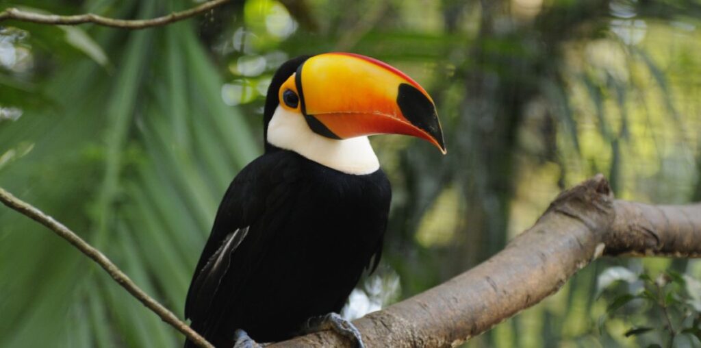Trilha Caminhos da Ibiapaba: Brazil accelerates nature tourism