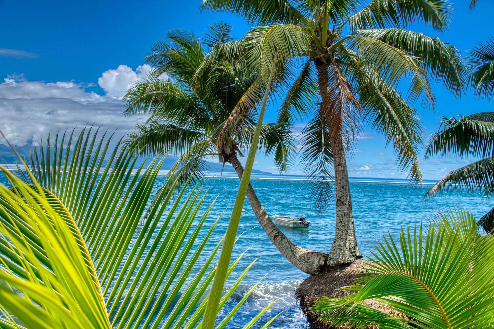 Tahiti Paysage